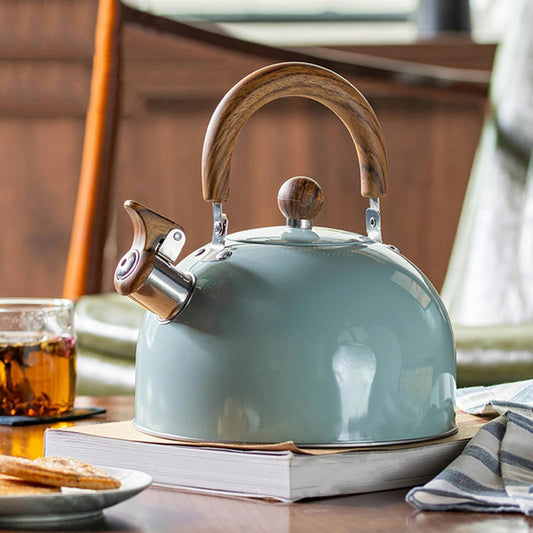 Stainless Steel Water Kettle | Whistling Spout & Comfortable Handle