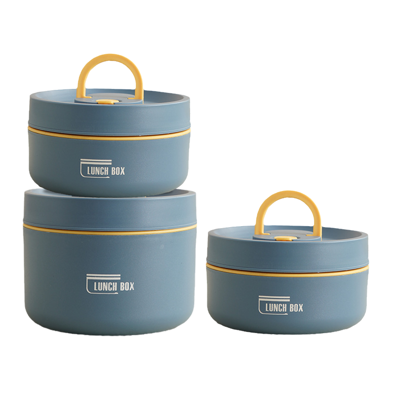 Durable Meal Bento | Insulated Bento Box with Portable Carry Case