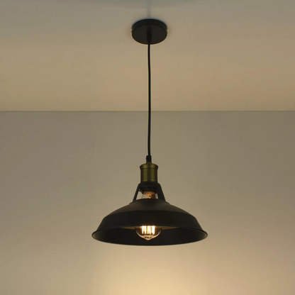 Contemporary Metal | VividRay Colorful Pendant Light
