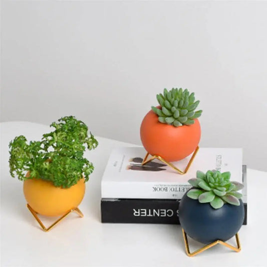 ModernMuse | Color Pop Planter with Sleek Metal Base