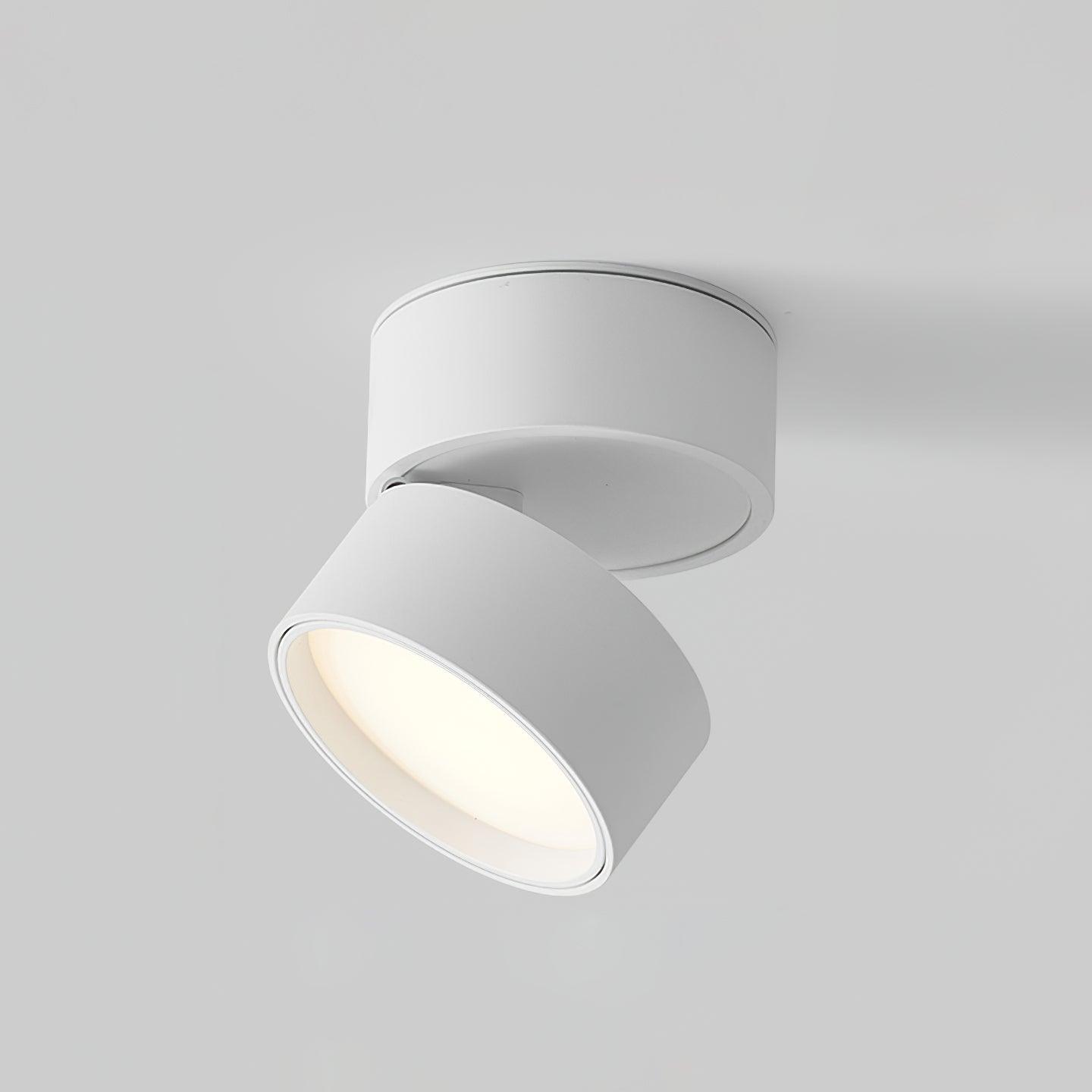 FlexaGlow | Adjustable LED Surface Light in Warm White