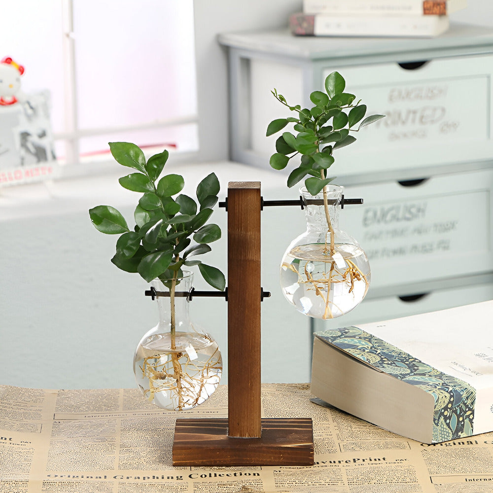 BotaniCraft | Artisan Wood & Glass Plant Holder