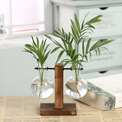 BotaniCraft | Artisan Wood & Glass Plant Holder