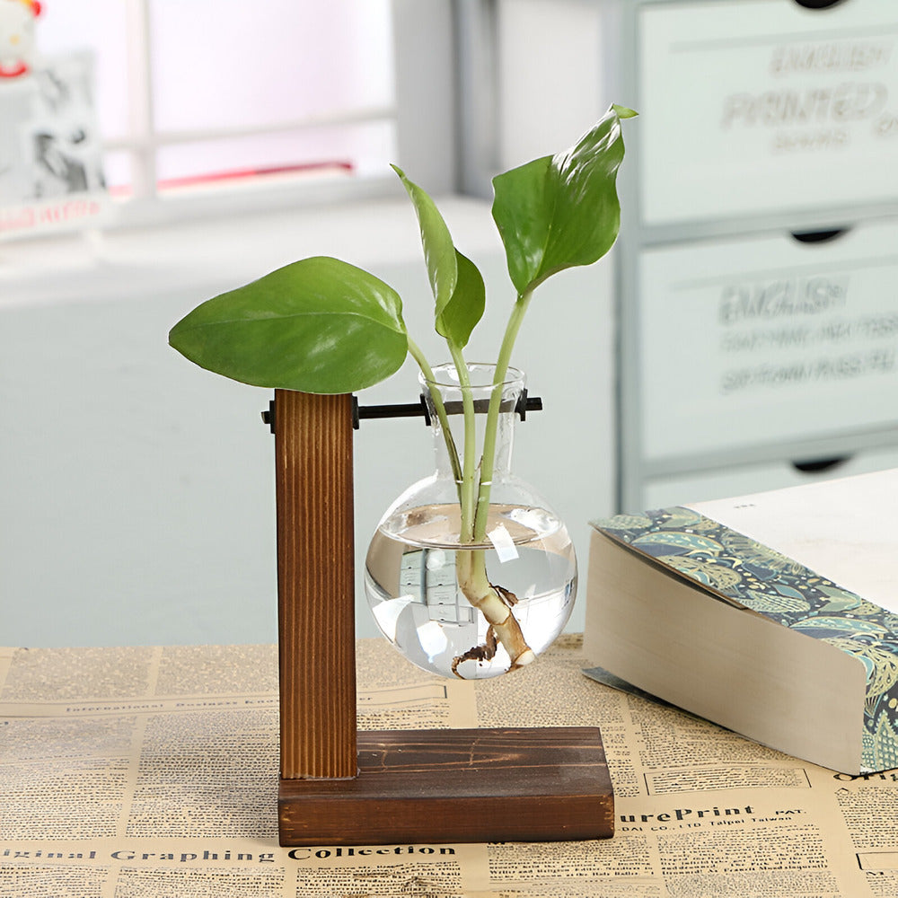 BotaniCraft | Artisan Wood & Glass Plant Holder