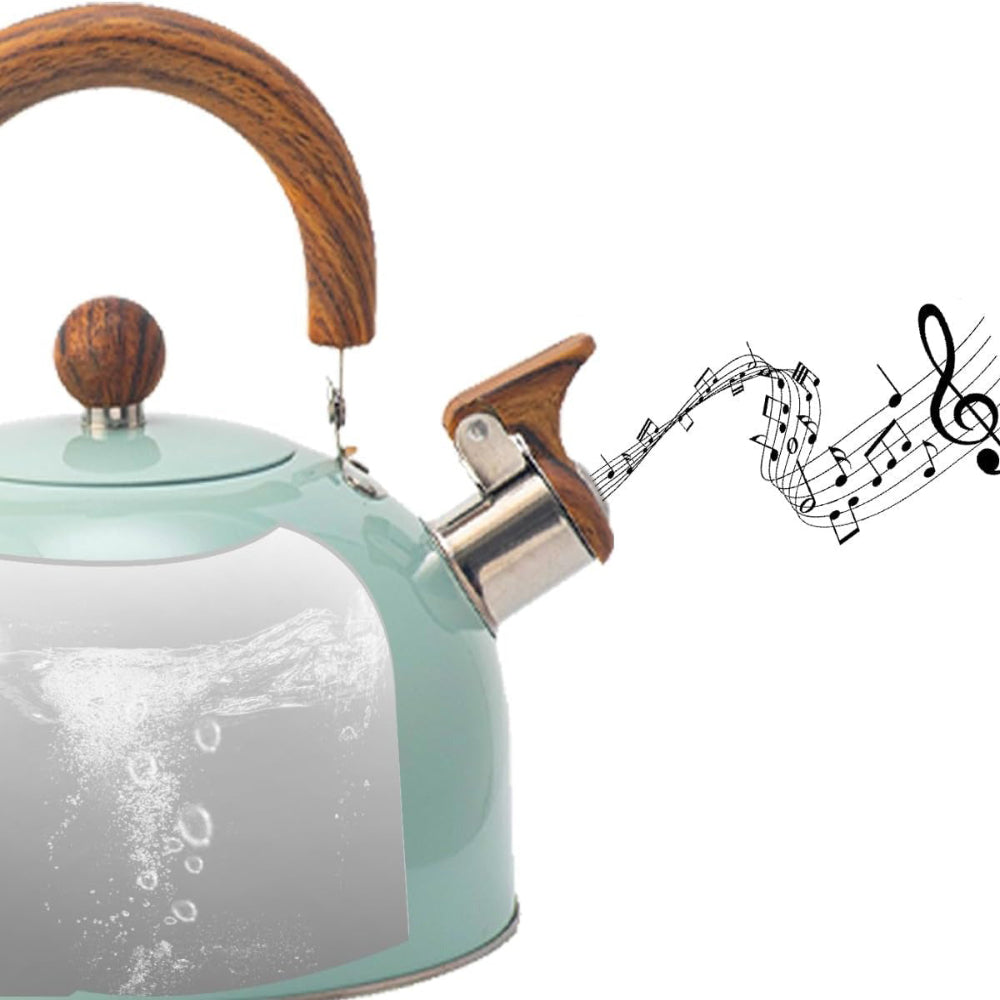 Stainless Steel Water Kettle | Whistling Spout & Comfortable Handle