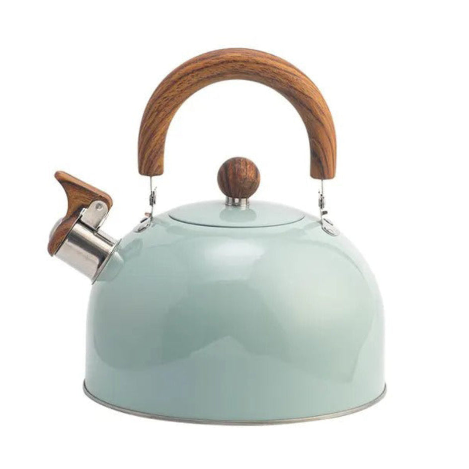 Stainless Steel Water Kettle | Whistling Spout & Comfortable Handle