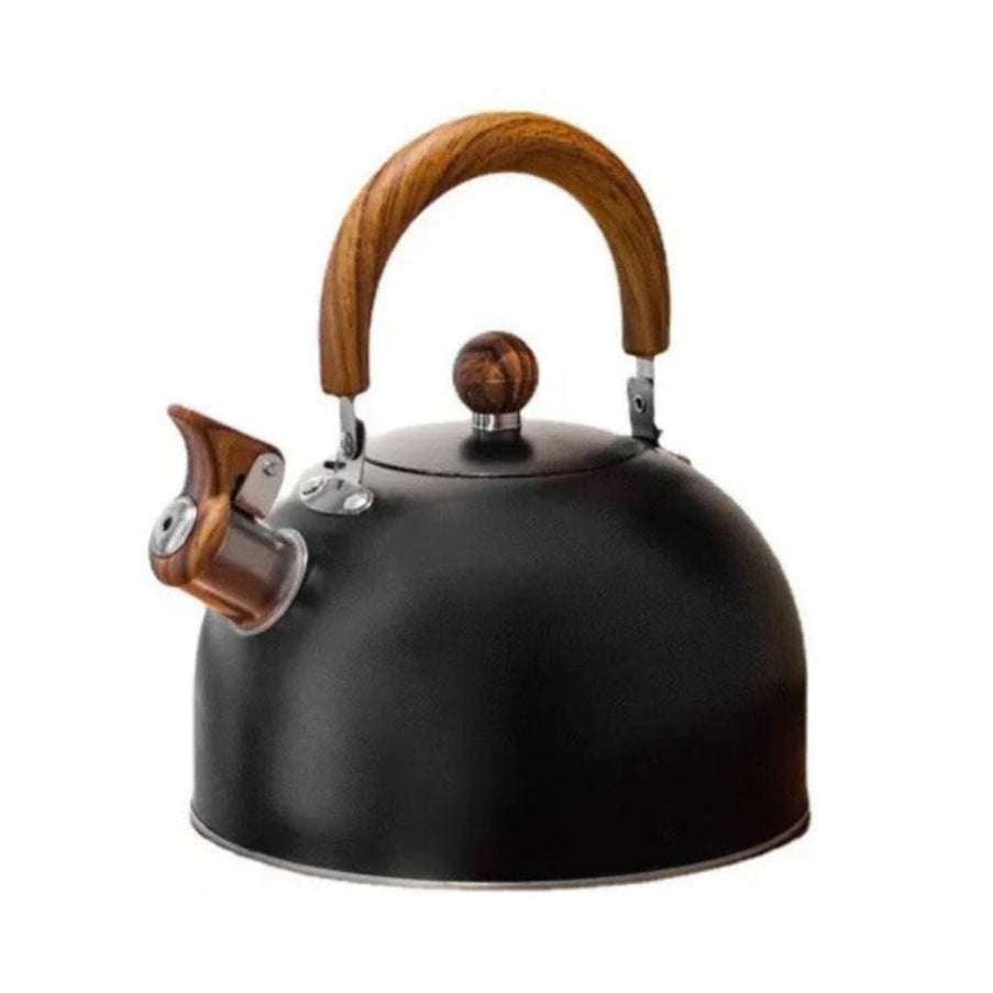 Stainless Steel Water Kettle | Whistling Spout & Comfortable Handle