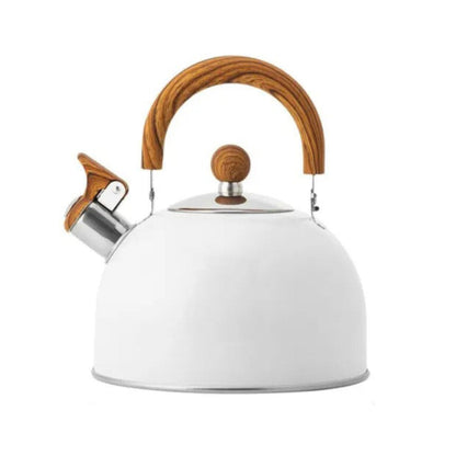 Stainless Steel Water Kettle | Whistling Spout & Comfortable Handle