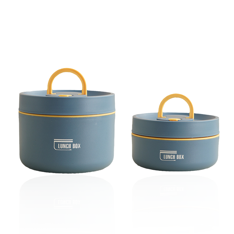 Durable Meal Bento | Insulated Bento Box with Portable Carry Case