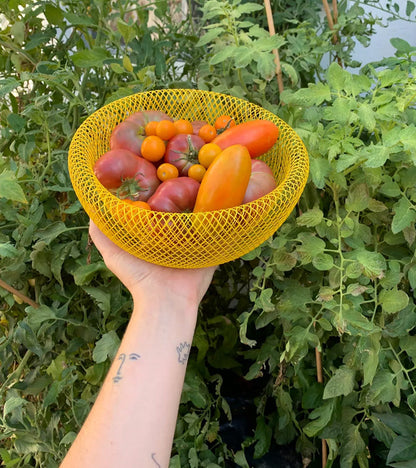 Steel Mesh Fruit Storage Bowl | Fresh Air Ventilation